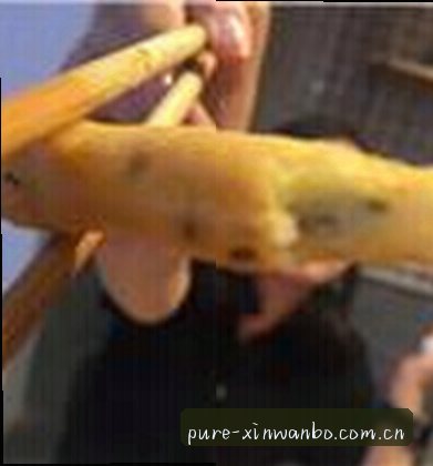 周雅婷